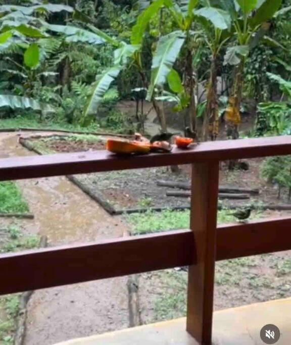 Rancho Dos Vagalumes *