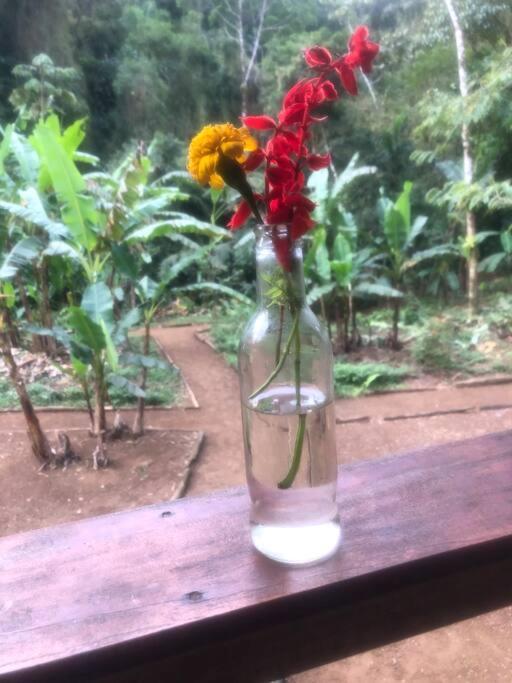 Casa de férias Rancho Dos Vagalumes *