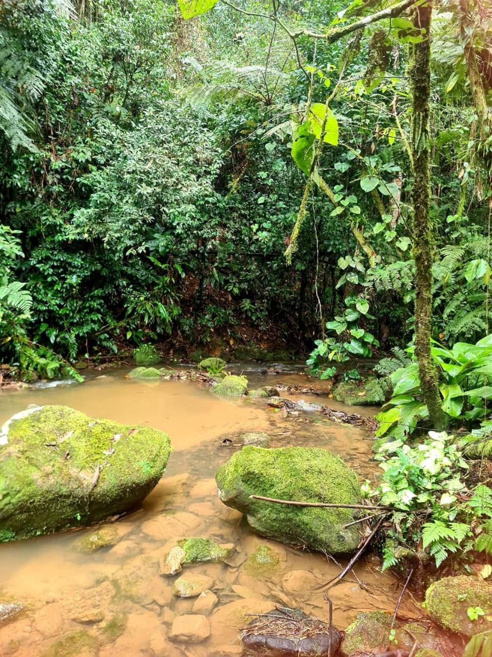 Rancho Dos Vagalumes * Ubatuba